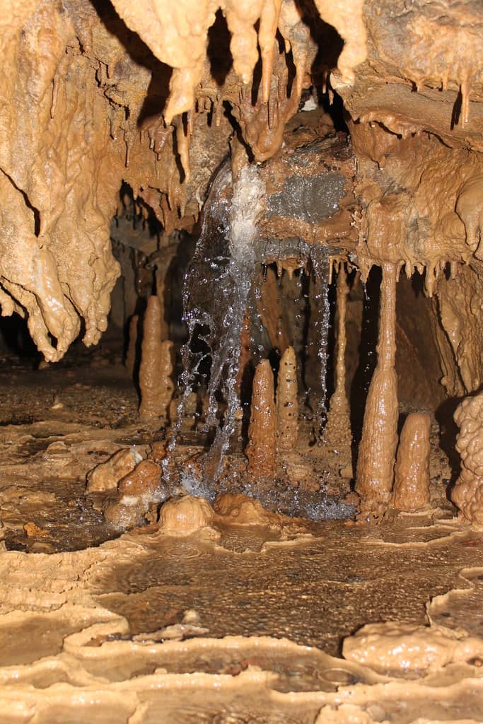 Guided Cave Tours