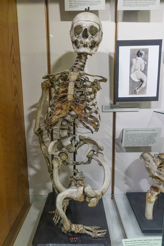 Medical Center & Ambulance