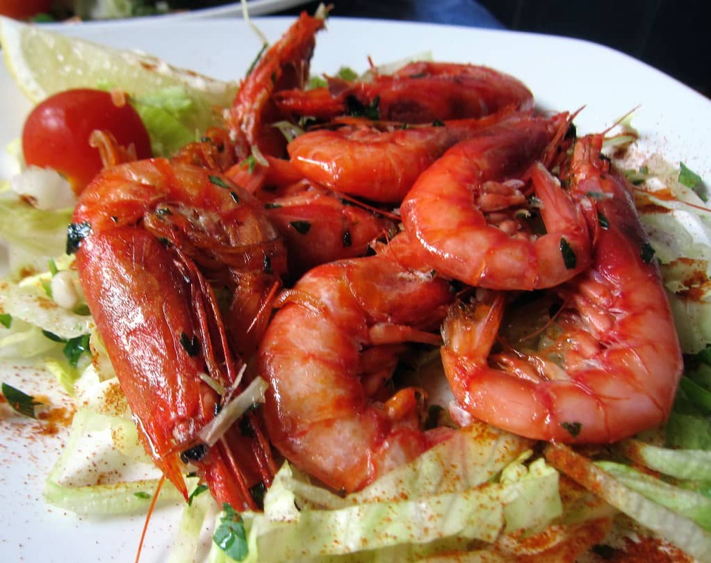 Seafood Restaurants