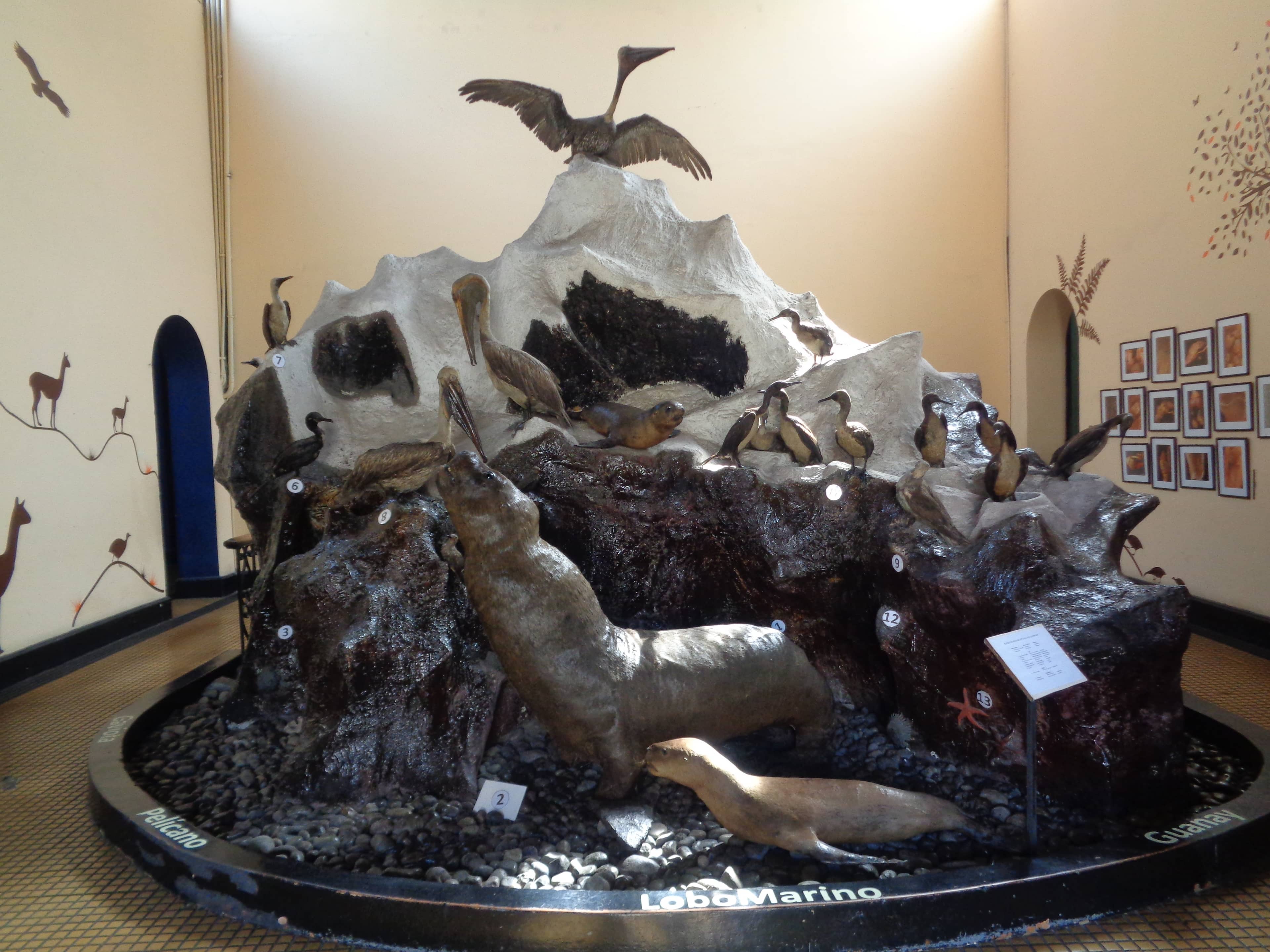 Marine Life & Bird Exhibits