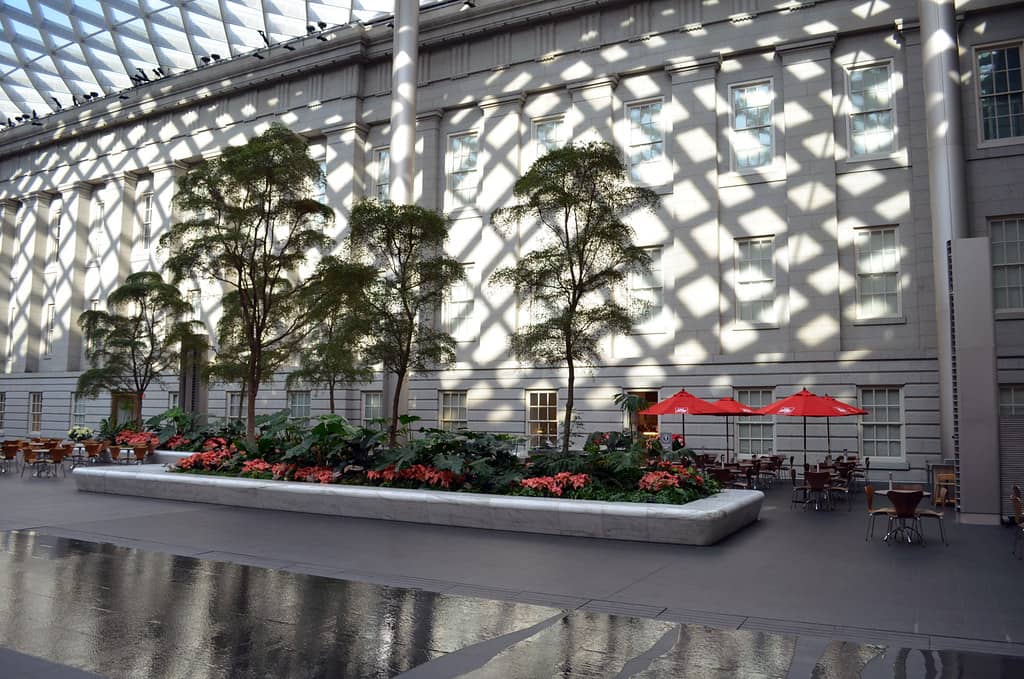 Museum Courtyard Cafe