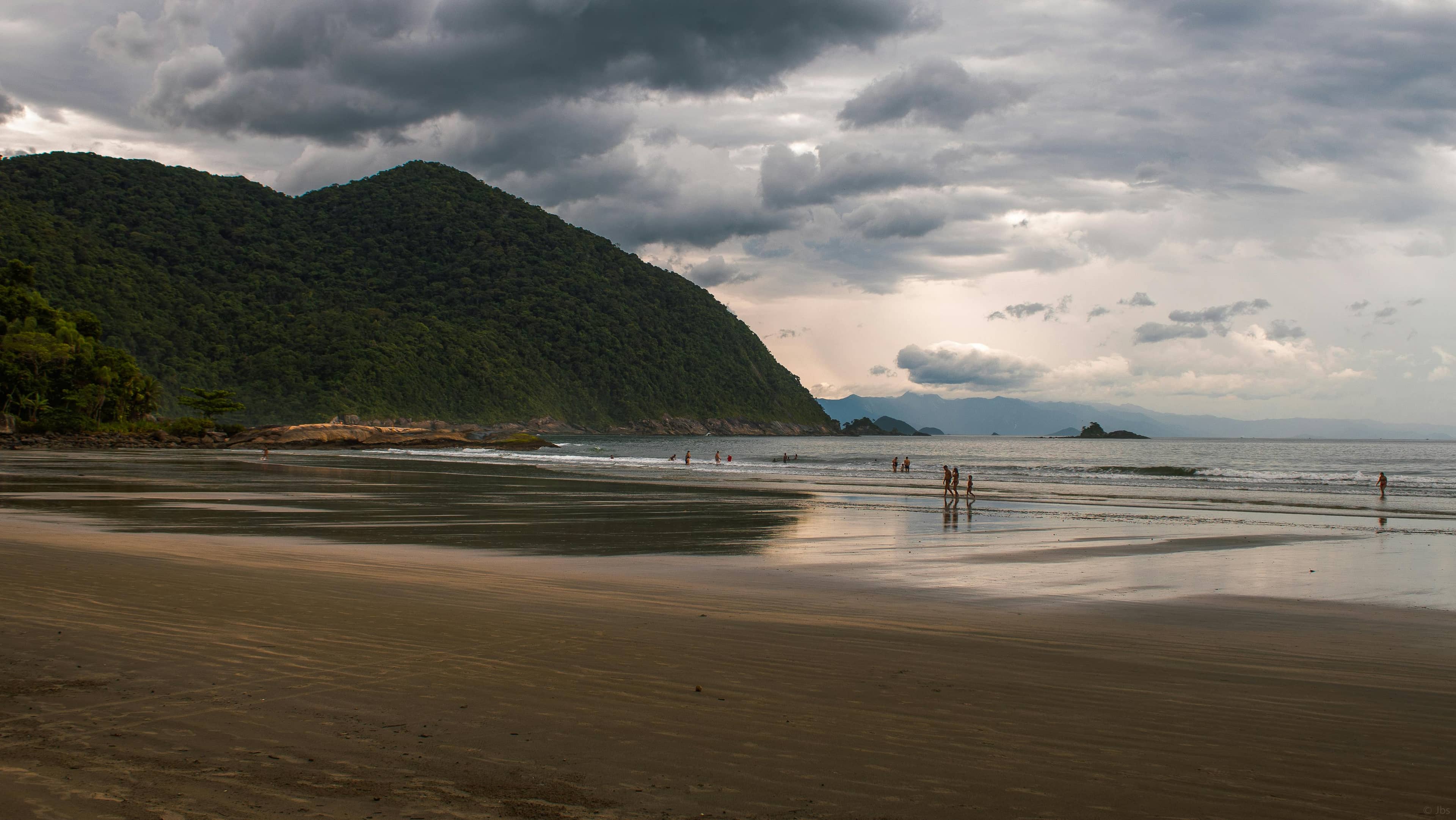 Tranquil Morning Swims