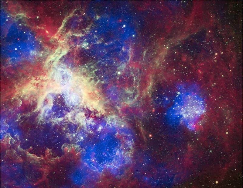 Interactive Exhibits