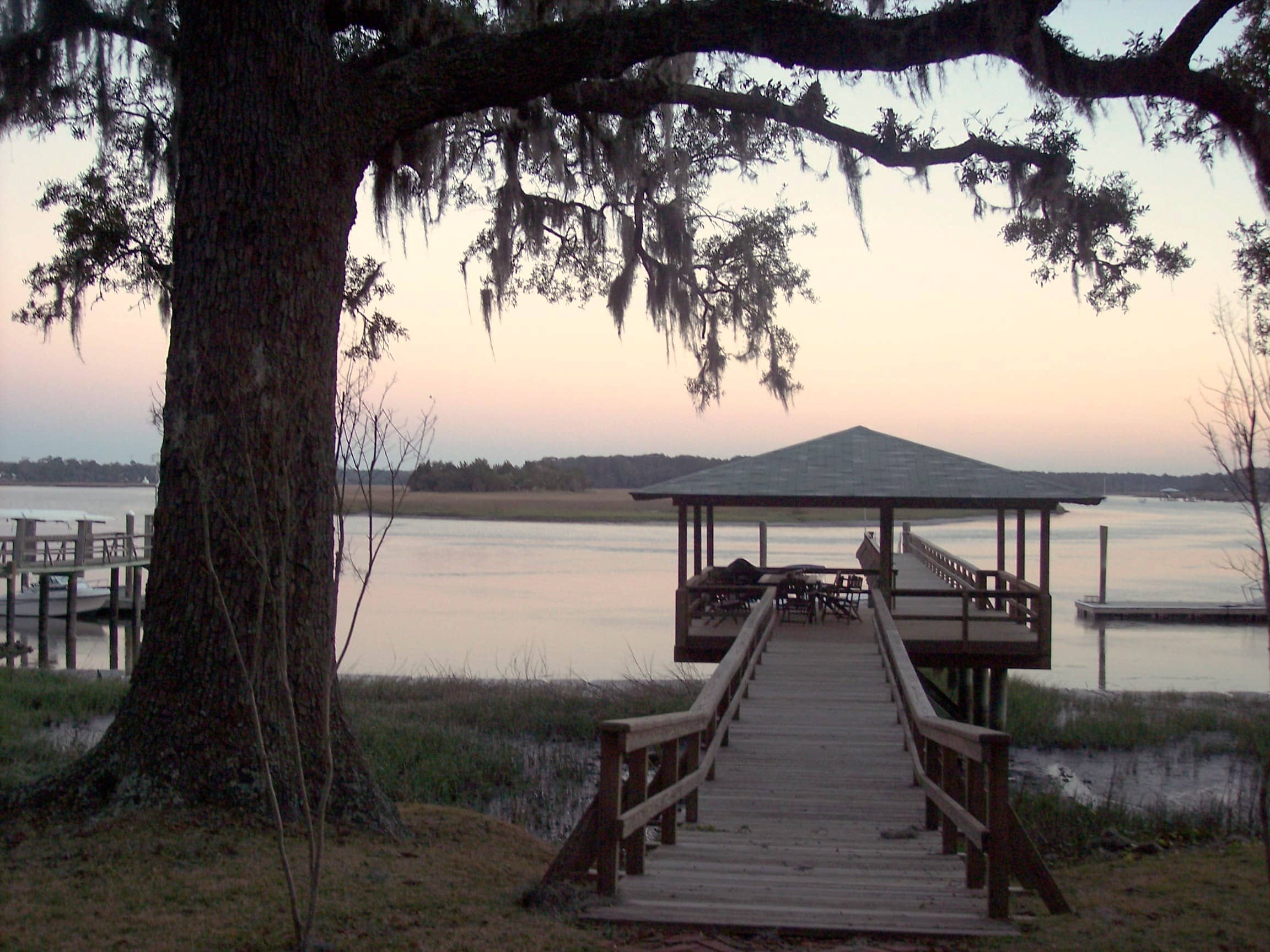 Low Country Wildlife Spotting