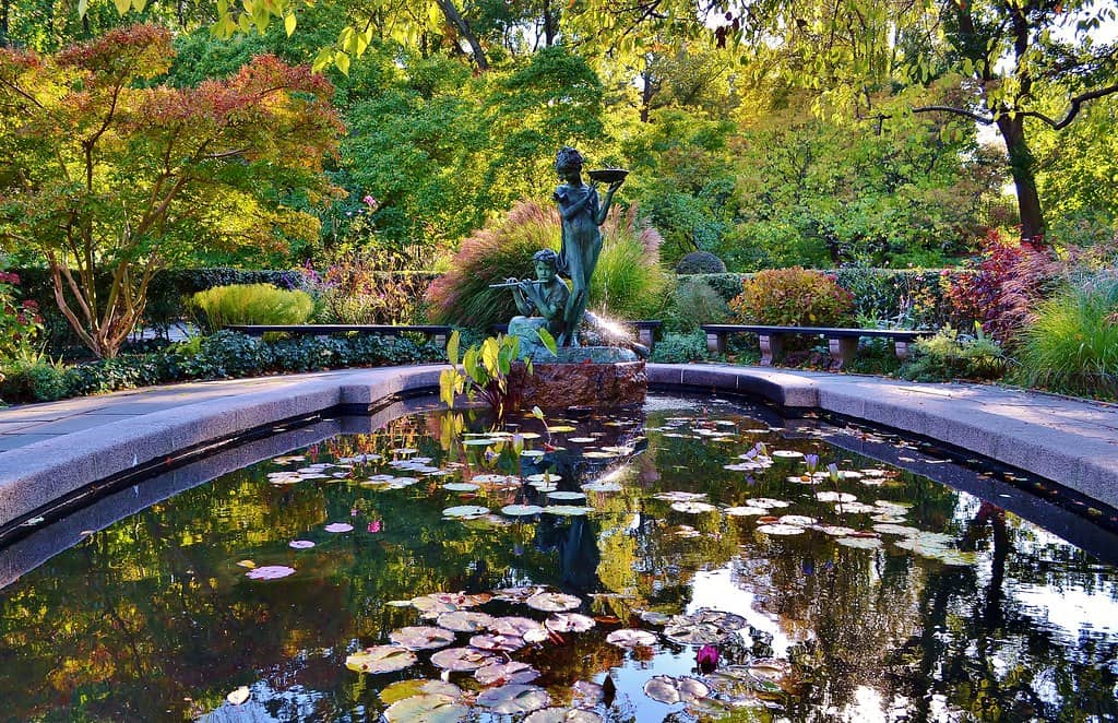 Conservatory Garden