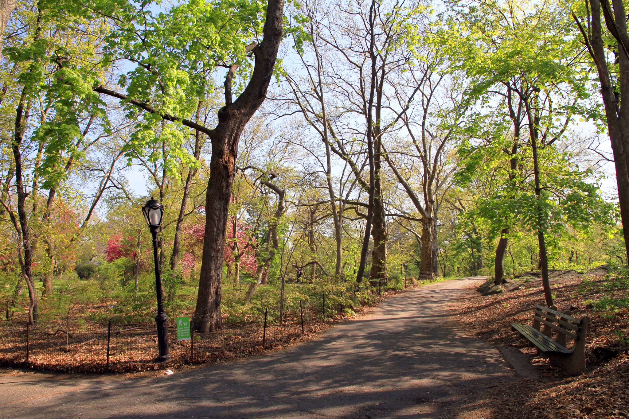 The Ramble