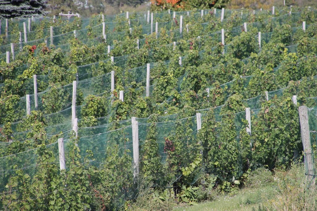 Scenic Drive & Views