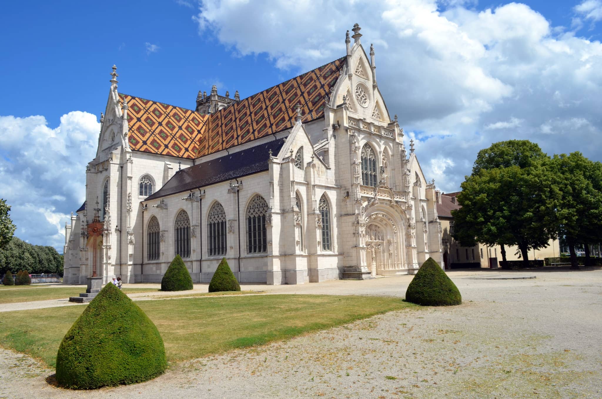 Museum and Art Exhibitions