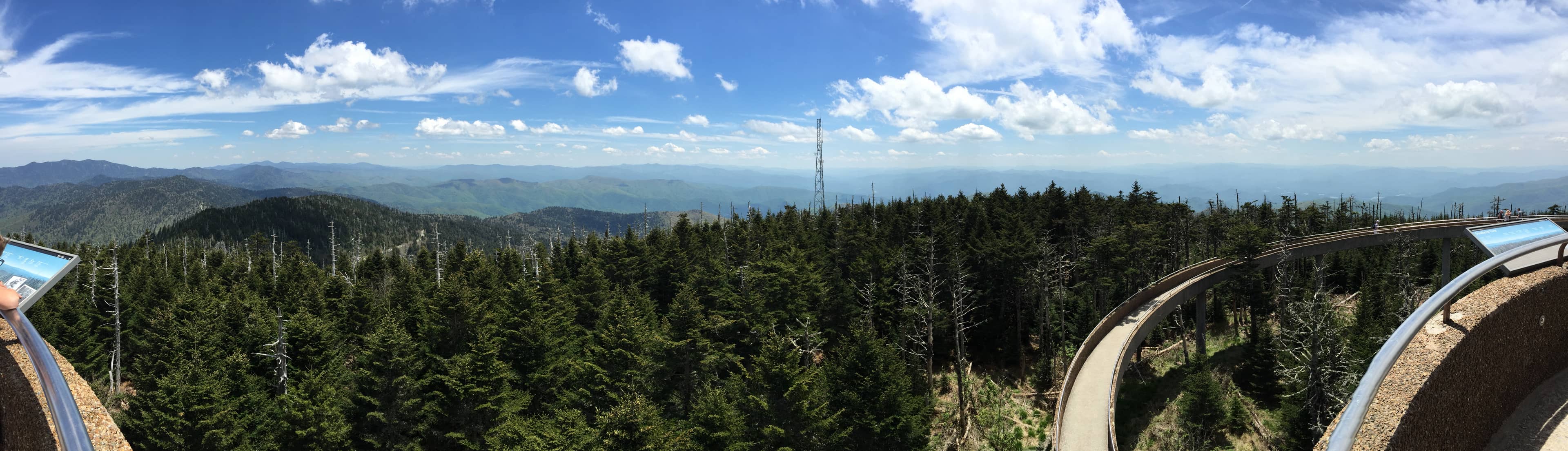 Wildlife Observation Tower