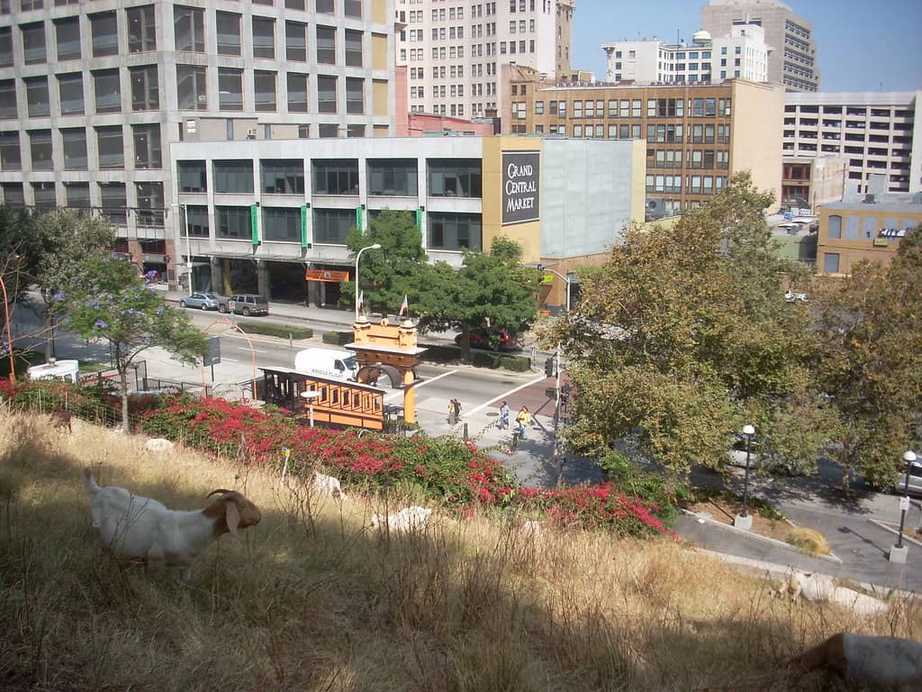 Angel's Flight Railway Views