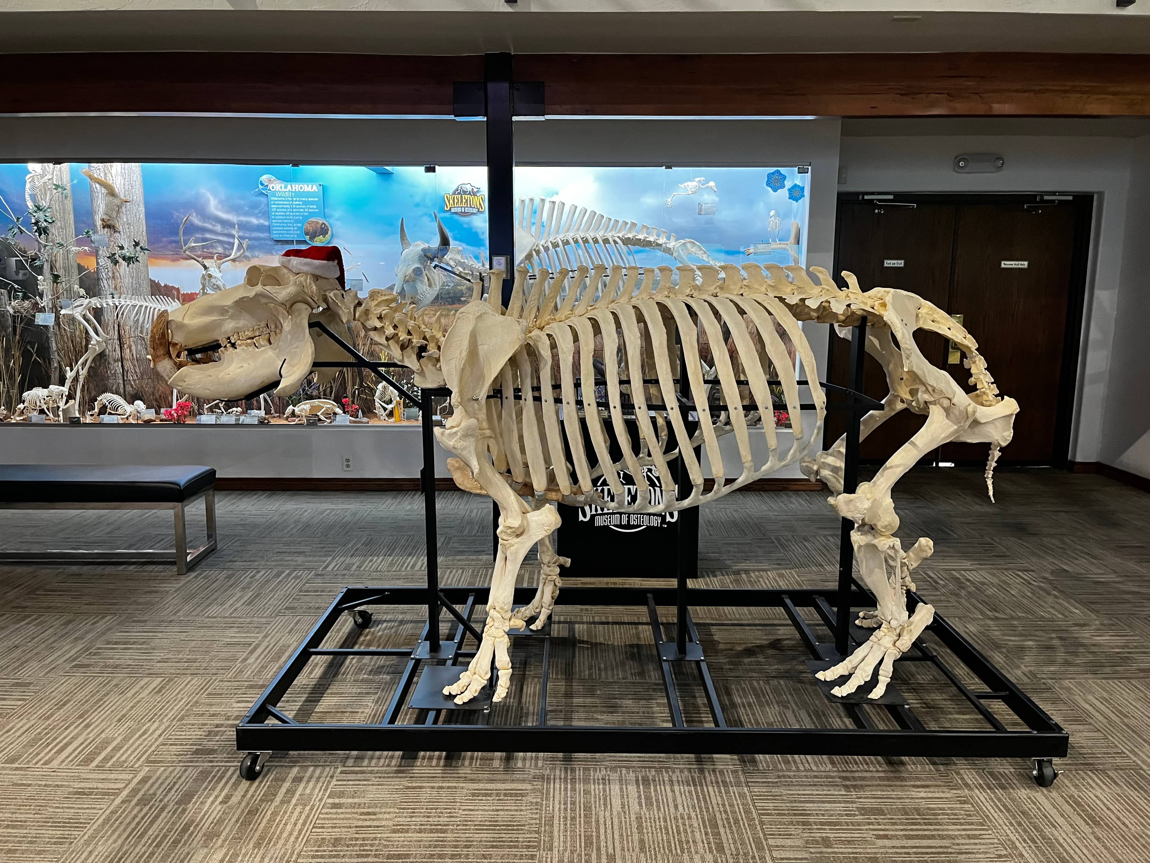 Interactive Explorer's Corner