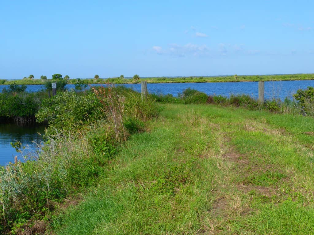 Wildlife Drive