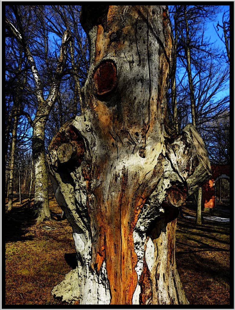 Lake Ontario Waterfront Access
