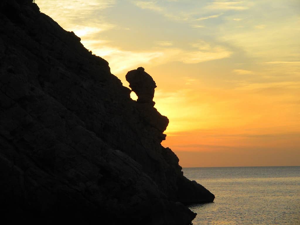 Dolphin Watching Opportunity