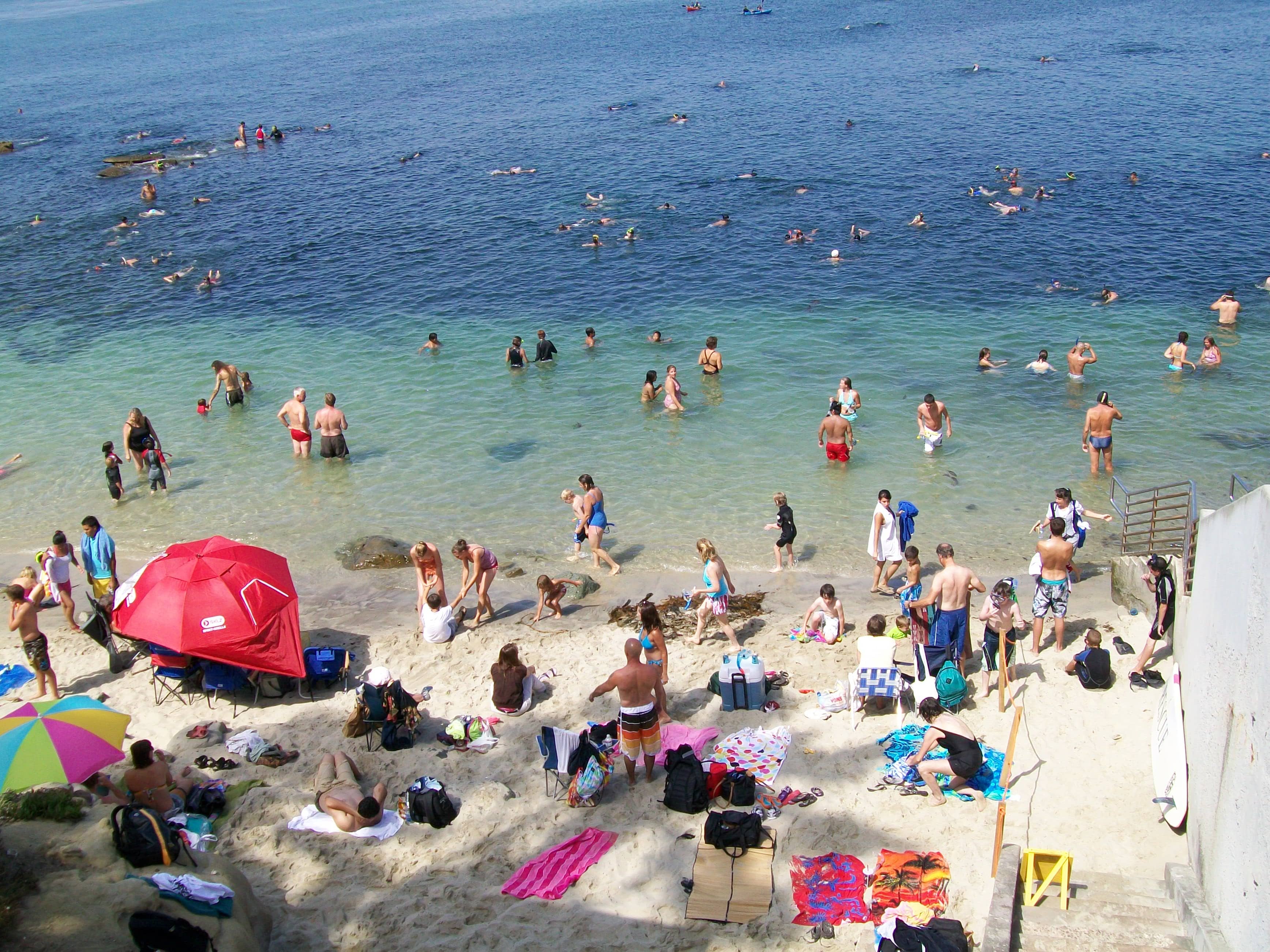 Tide Pools Exploration