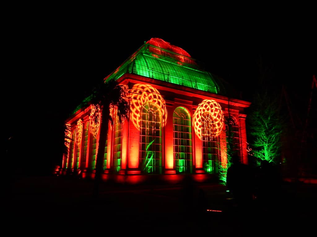 Christmas at the Botanics