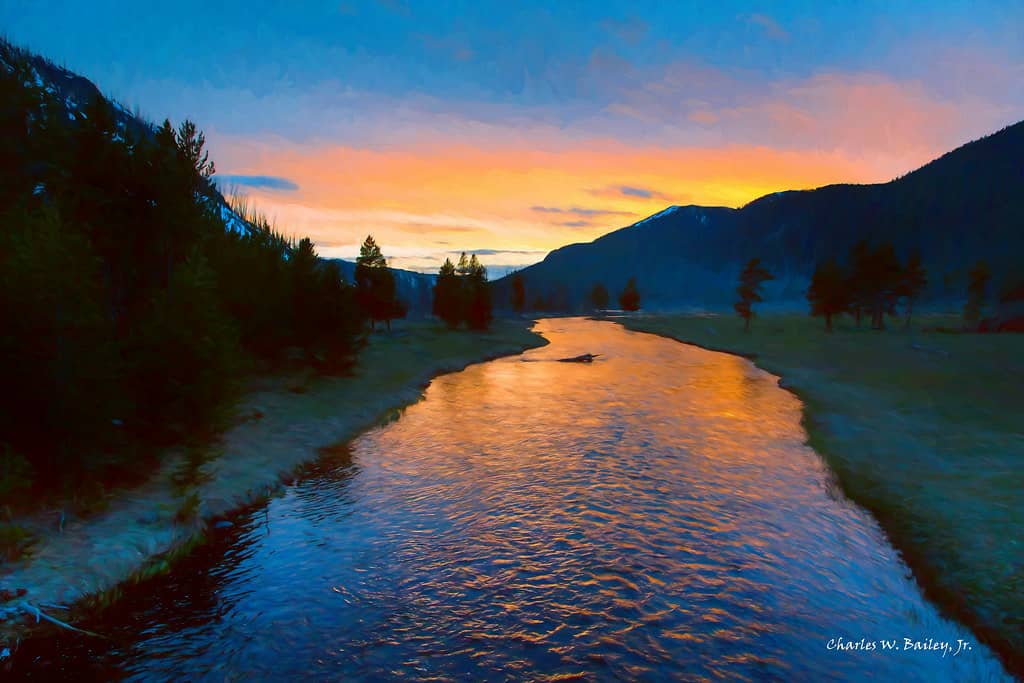 Vivid Light Spectacle