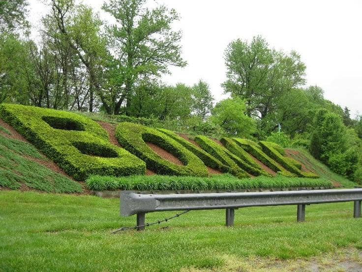 Shaded Playground