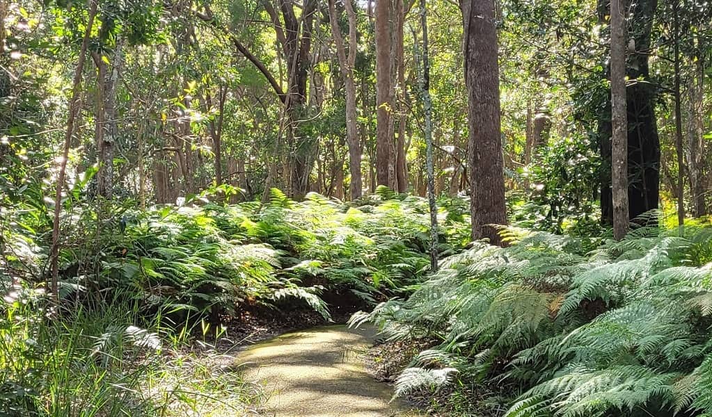Nature Walks & Hiking