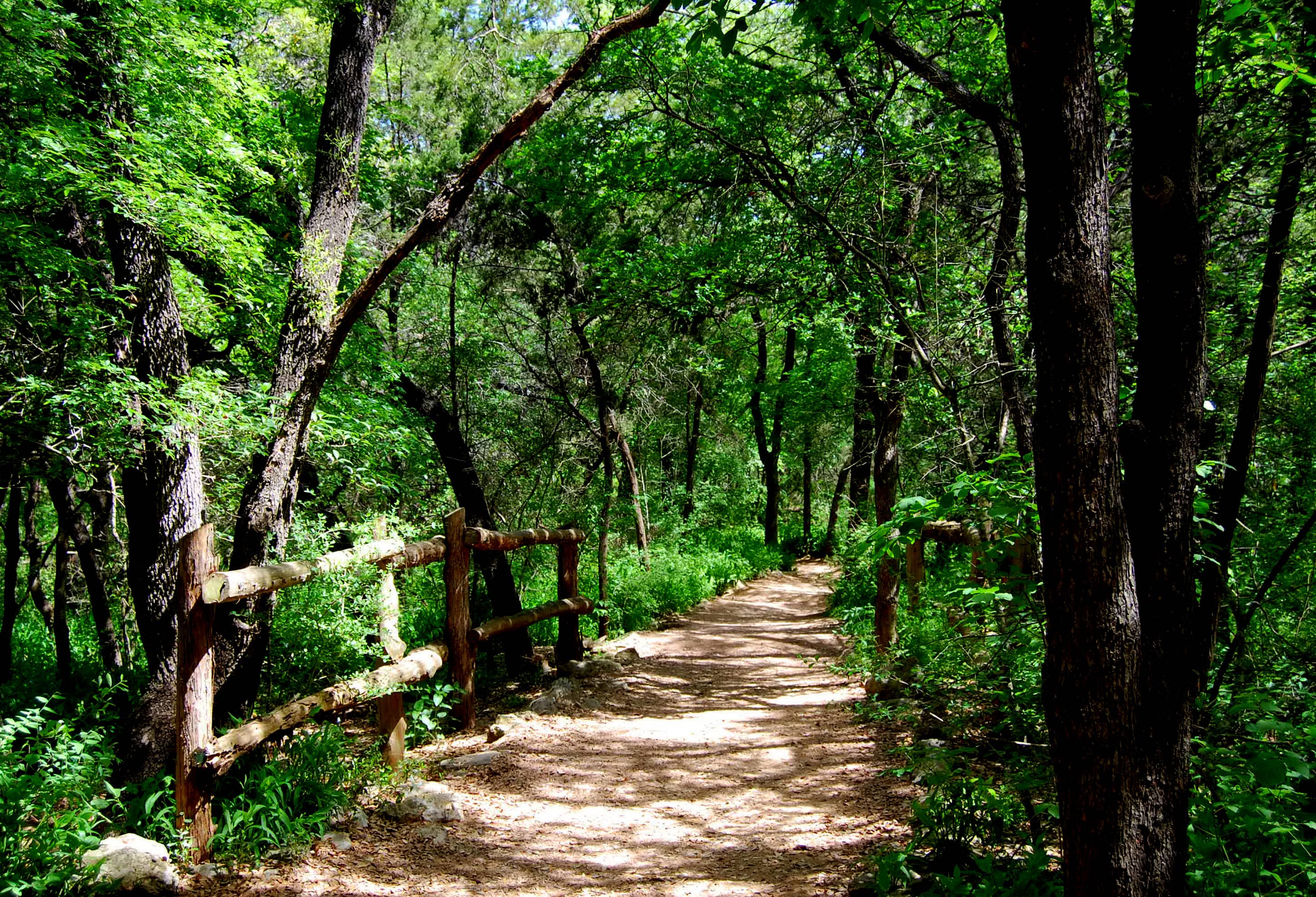 Barton Creek Greenbelt Hike
