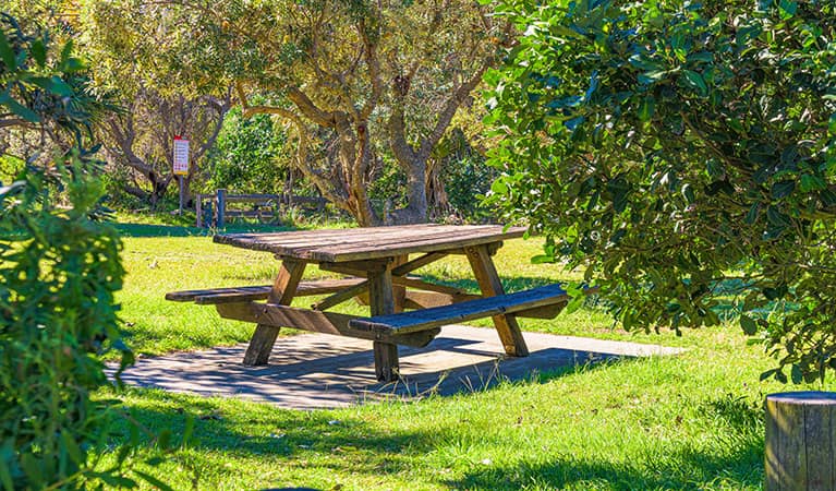 Picnic Spots