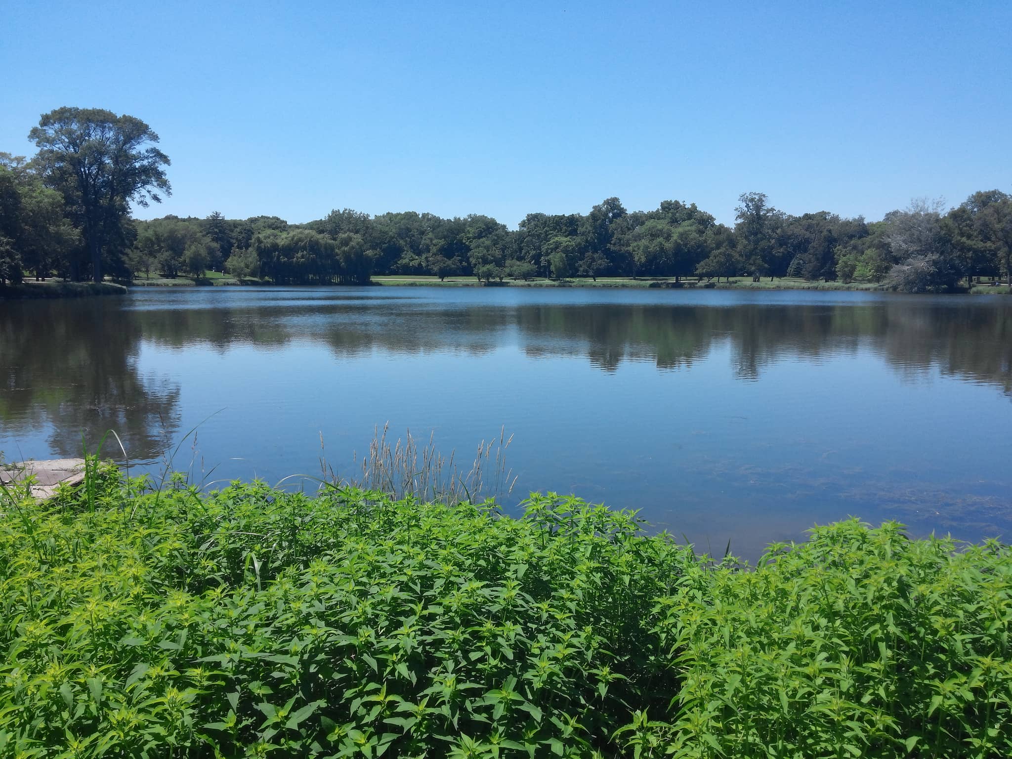 Reflecting Pond