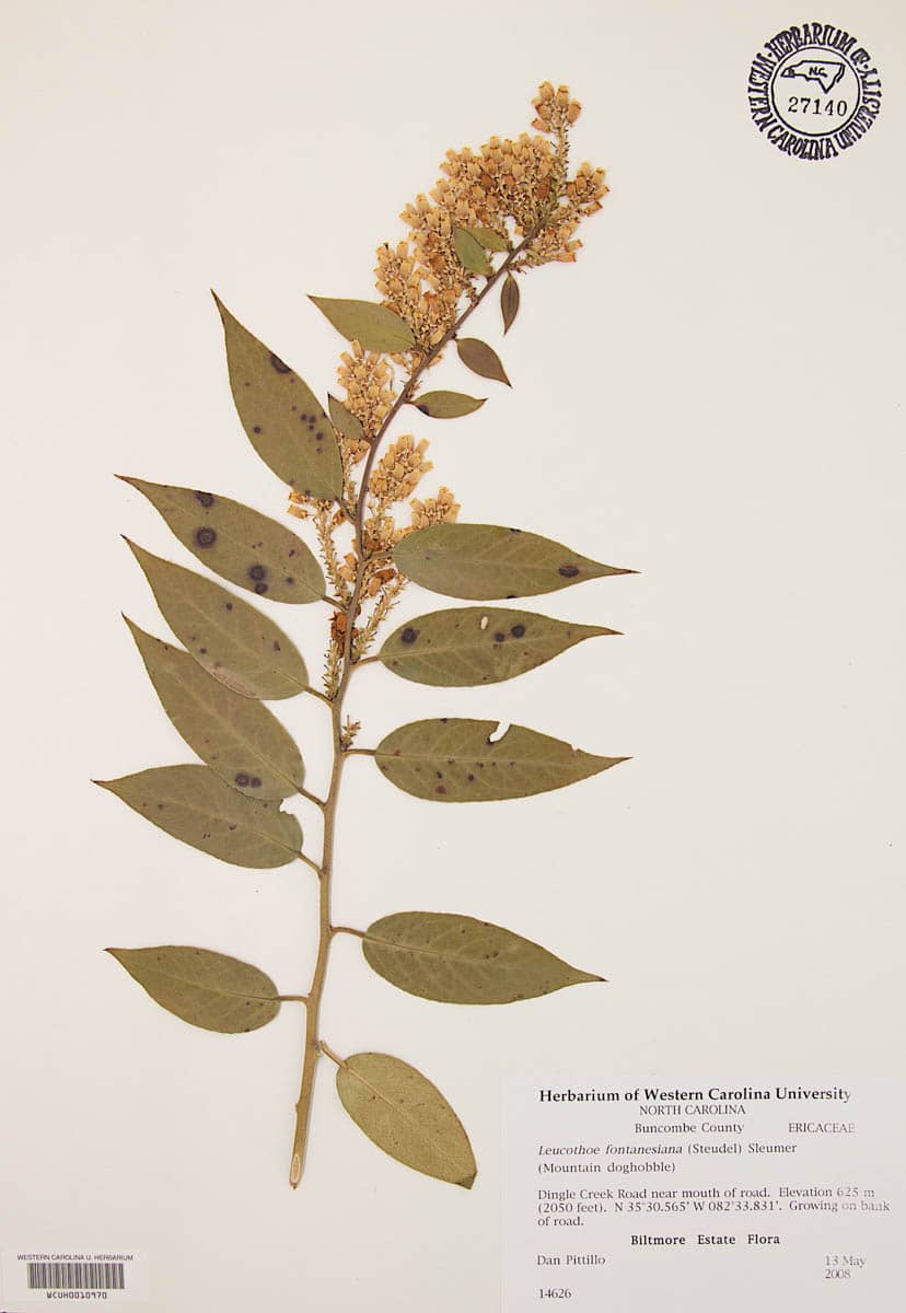 Thematic Plant Groupings