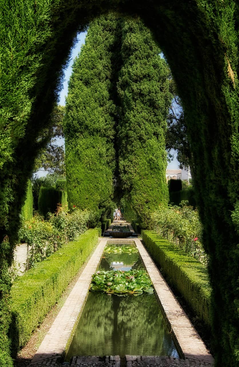 Peaceful Shaded Environment