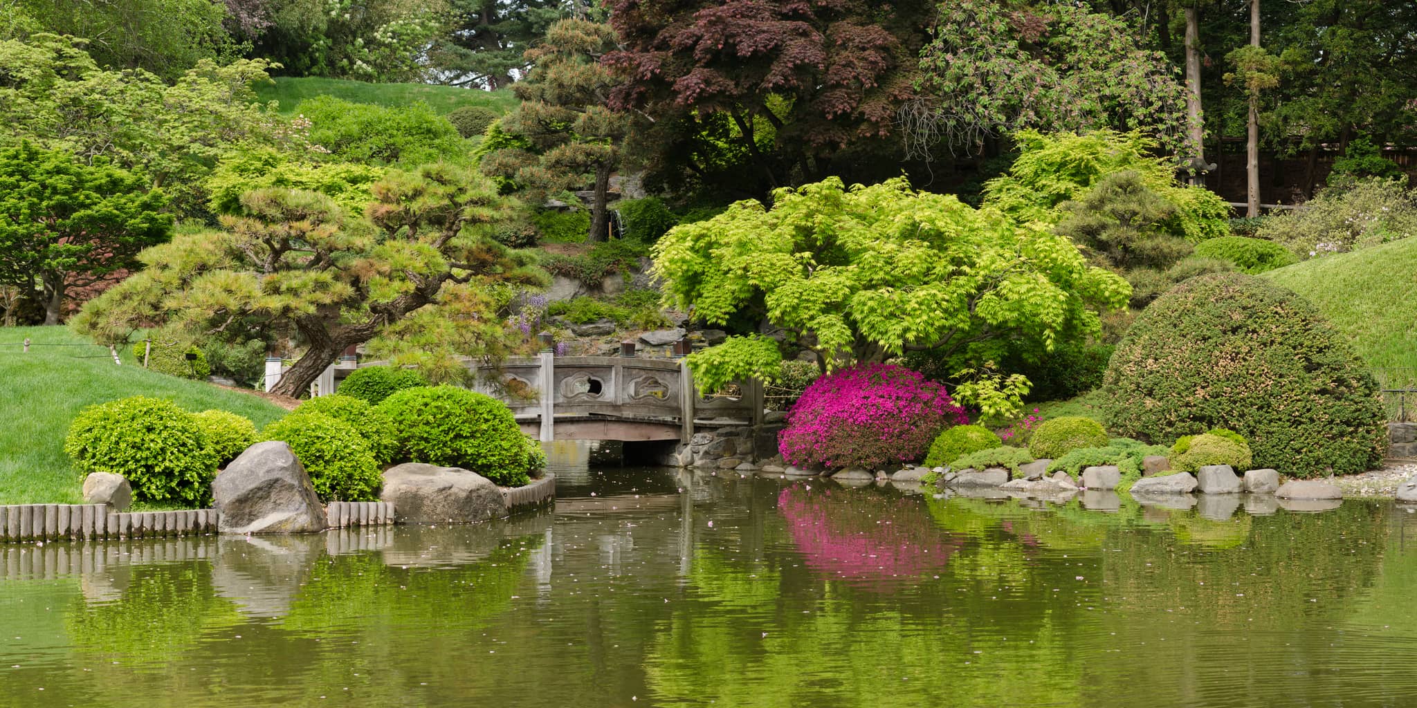 Brooklyn Botanic Garden