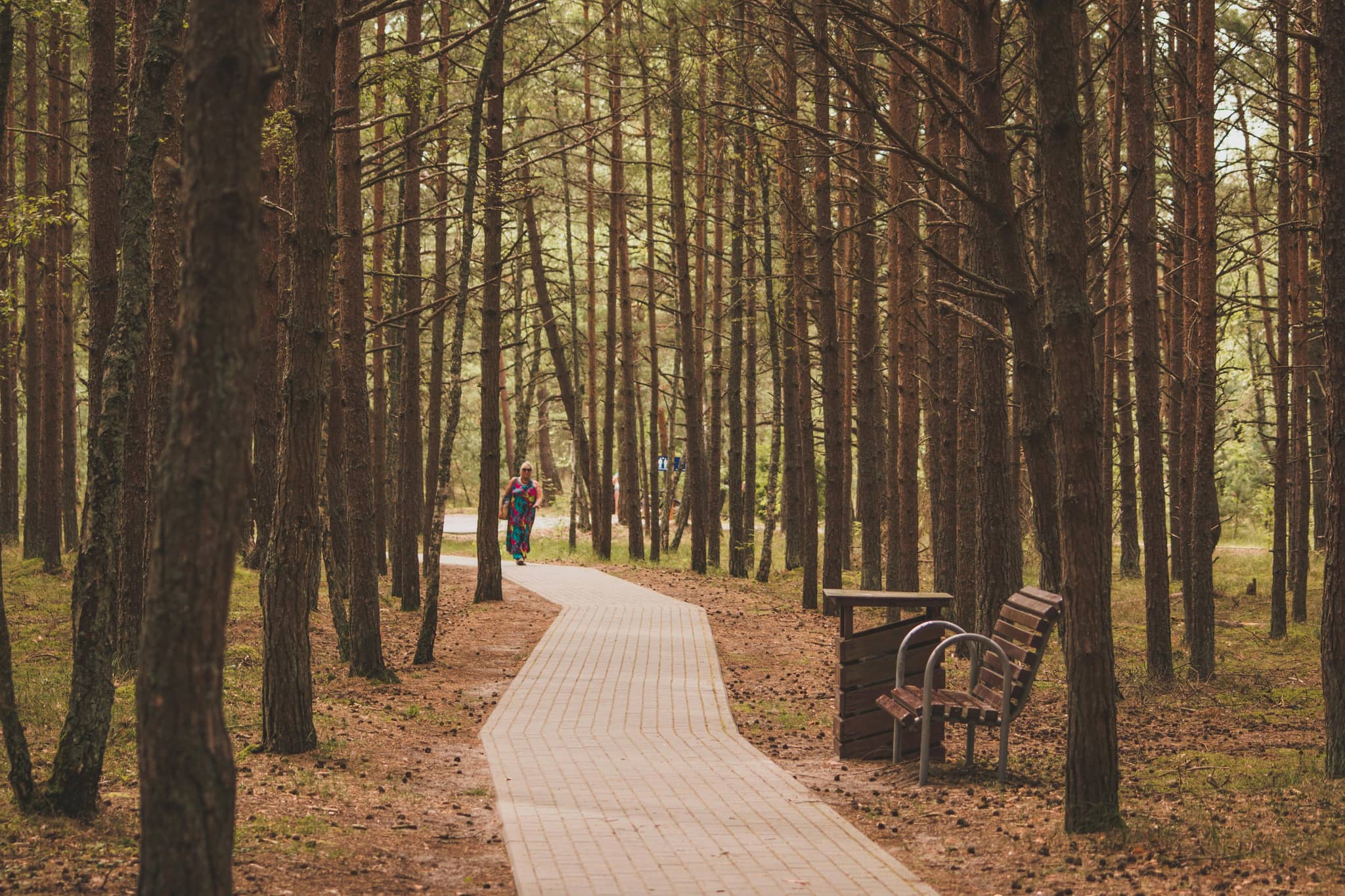Paved Loop Trails