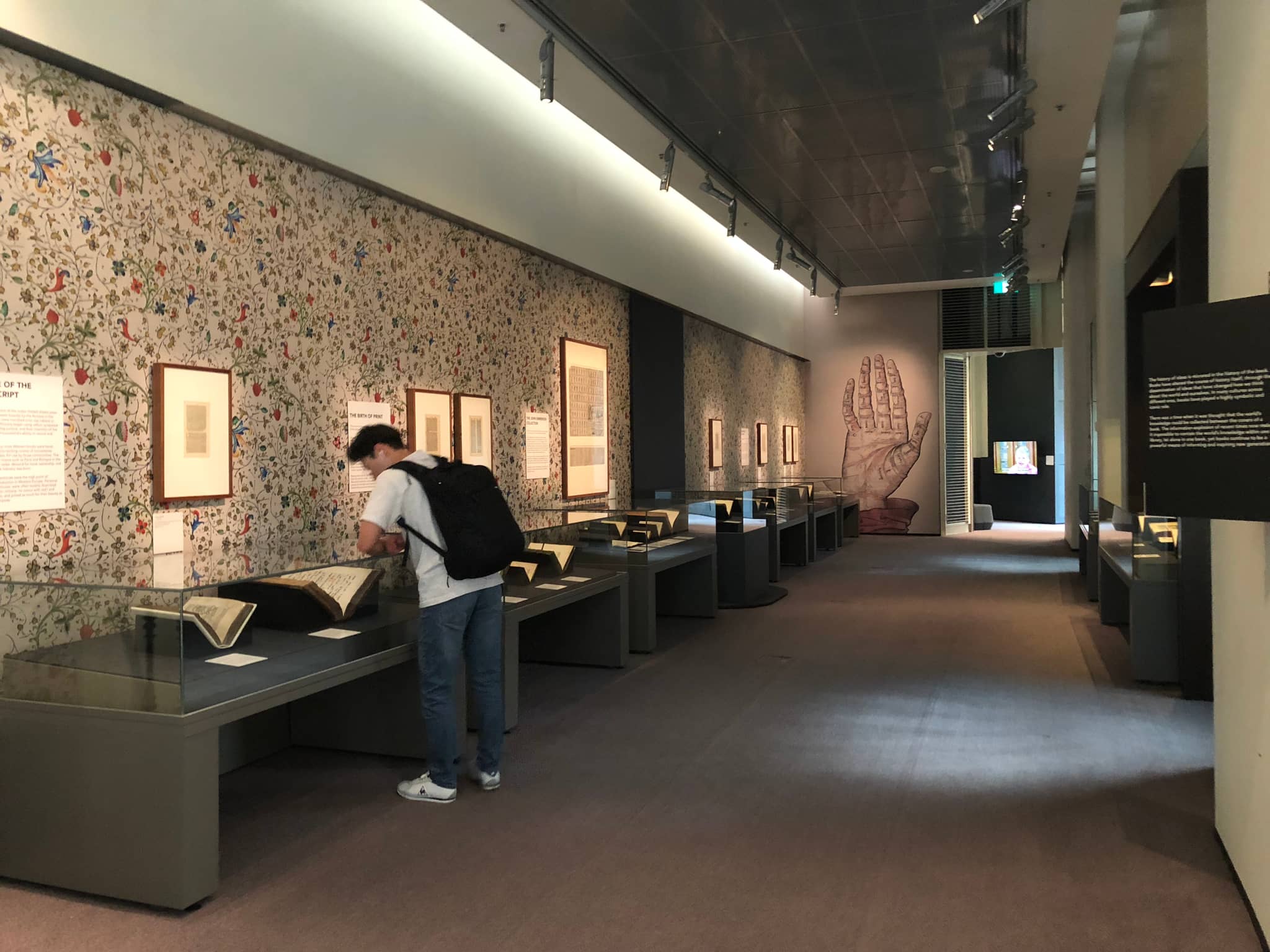 Exhibitions and Art
