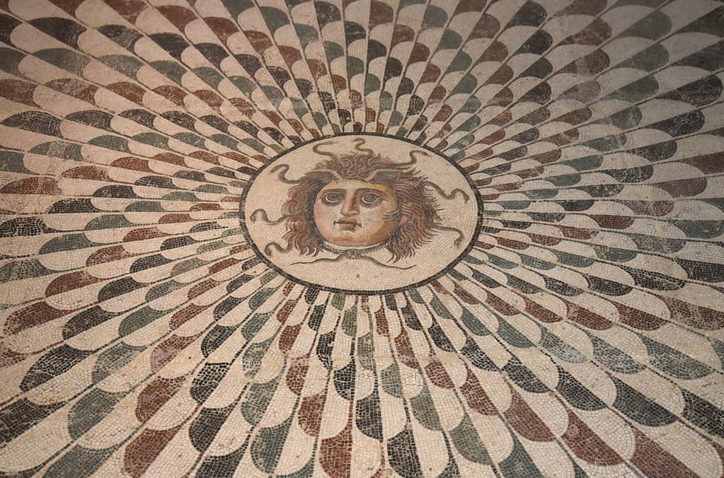 Medusa Exhibition