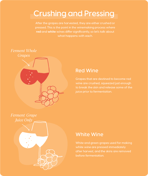 Innovative Fermentation