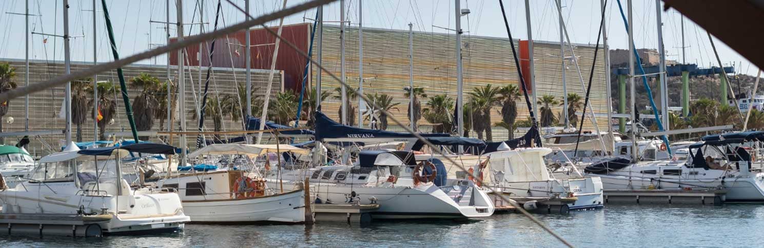 Marina Flamingo