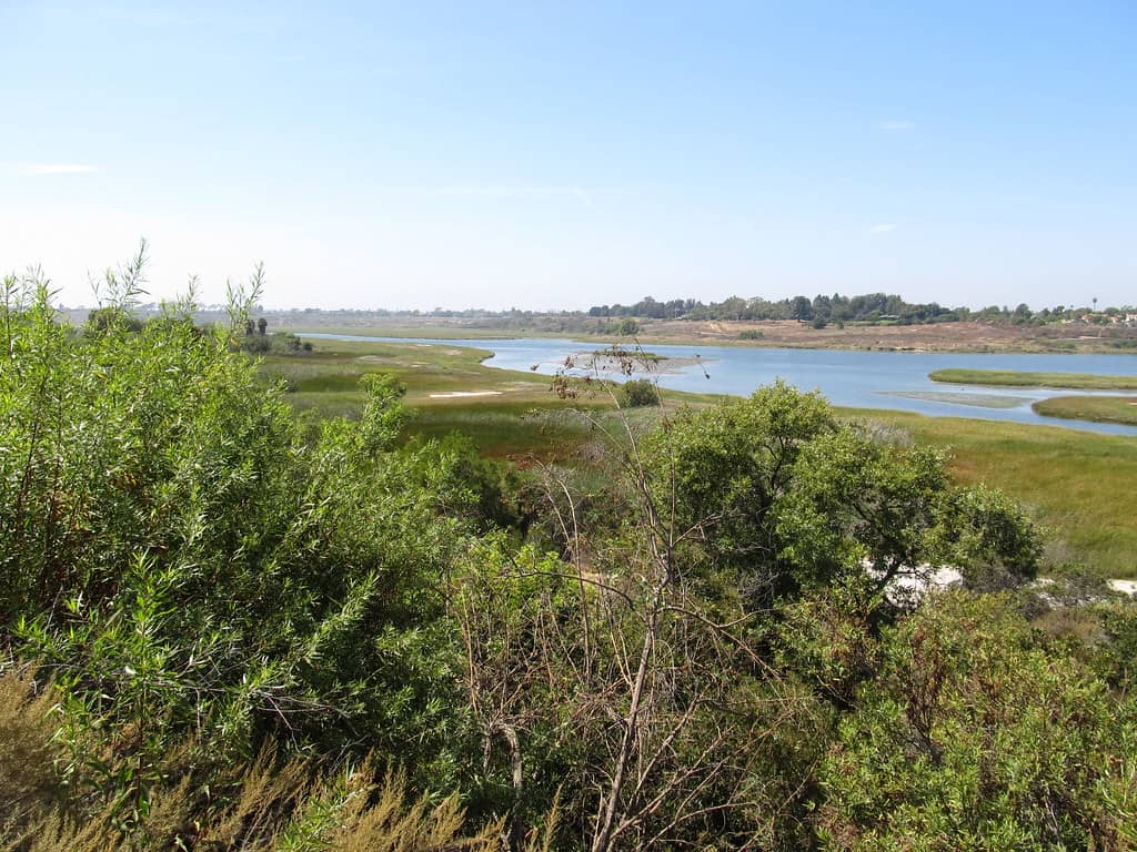 Bird Watching Opportunities