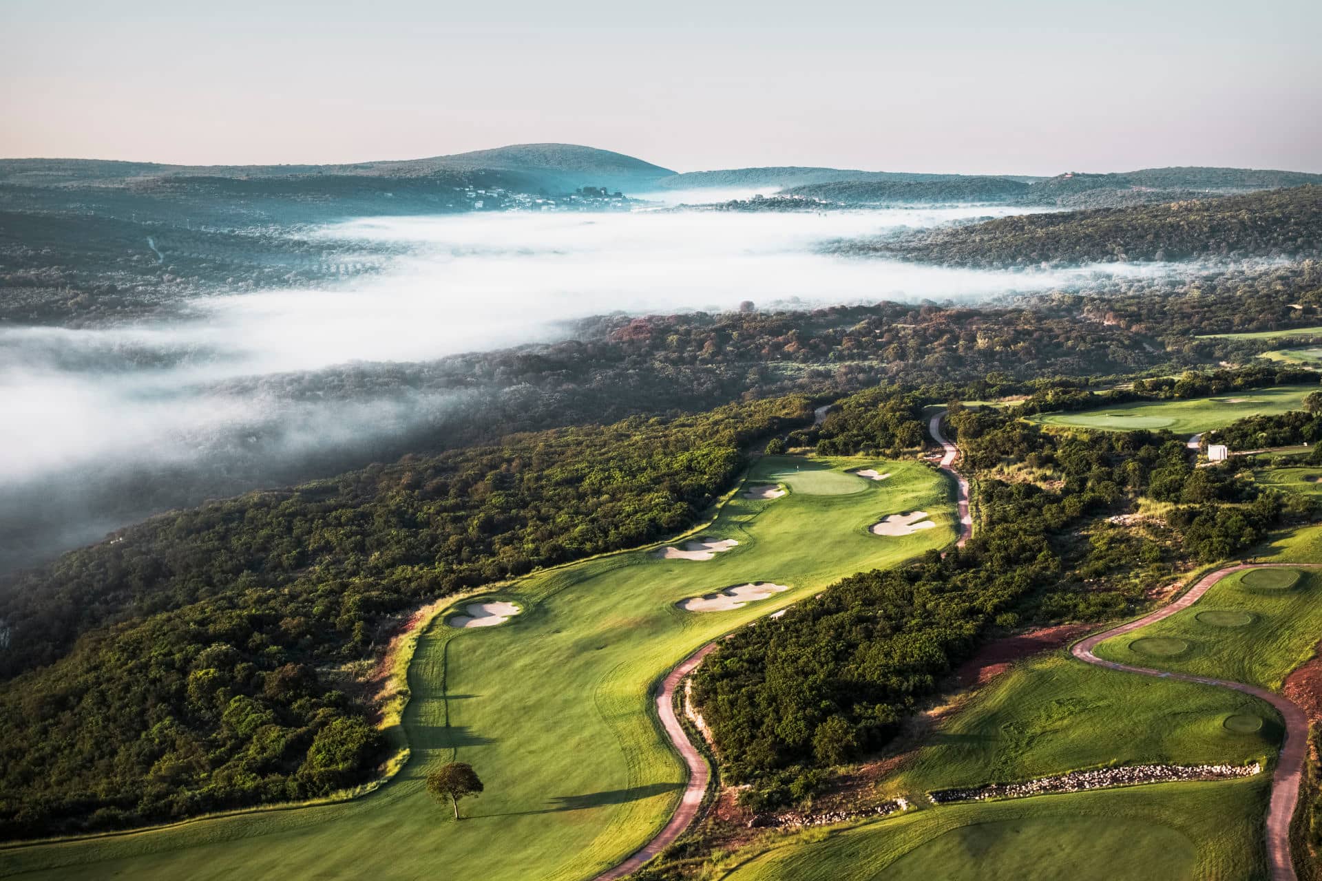 Immaculate Greens