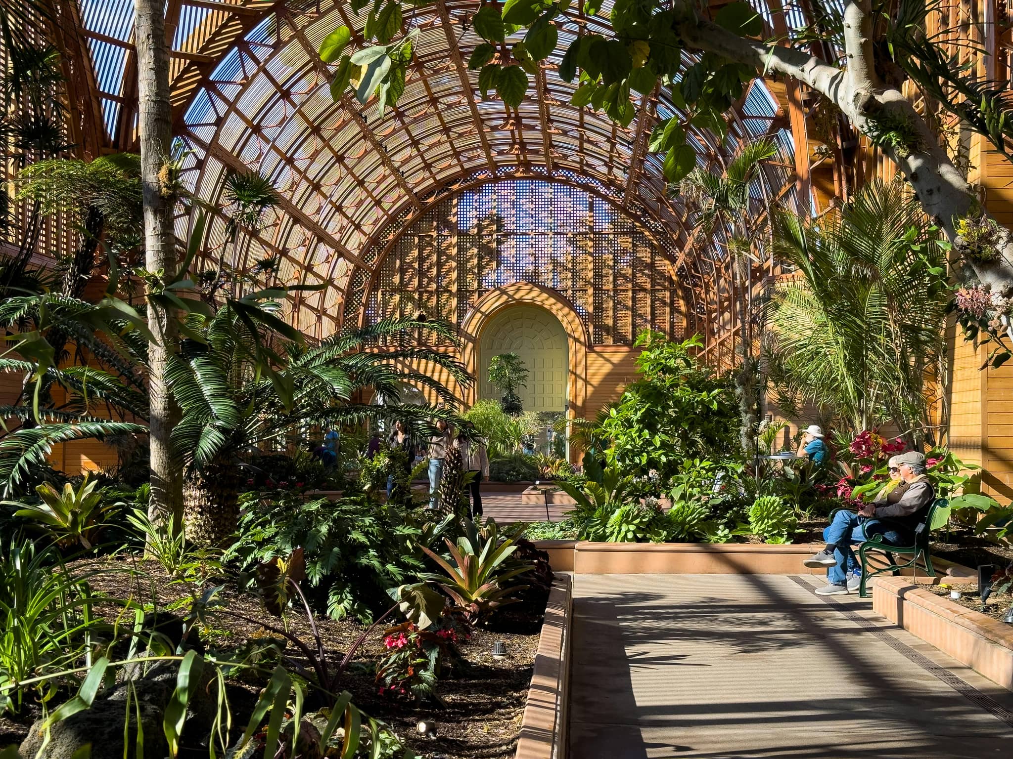 Tropical Plant Paradise