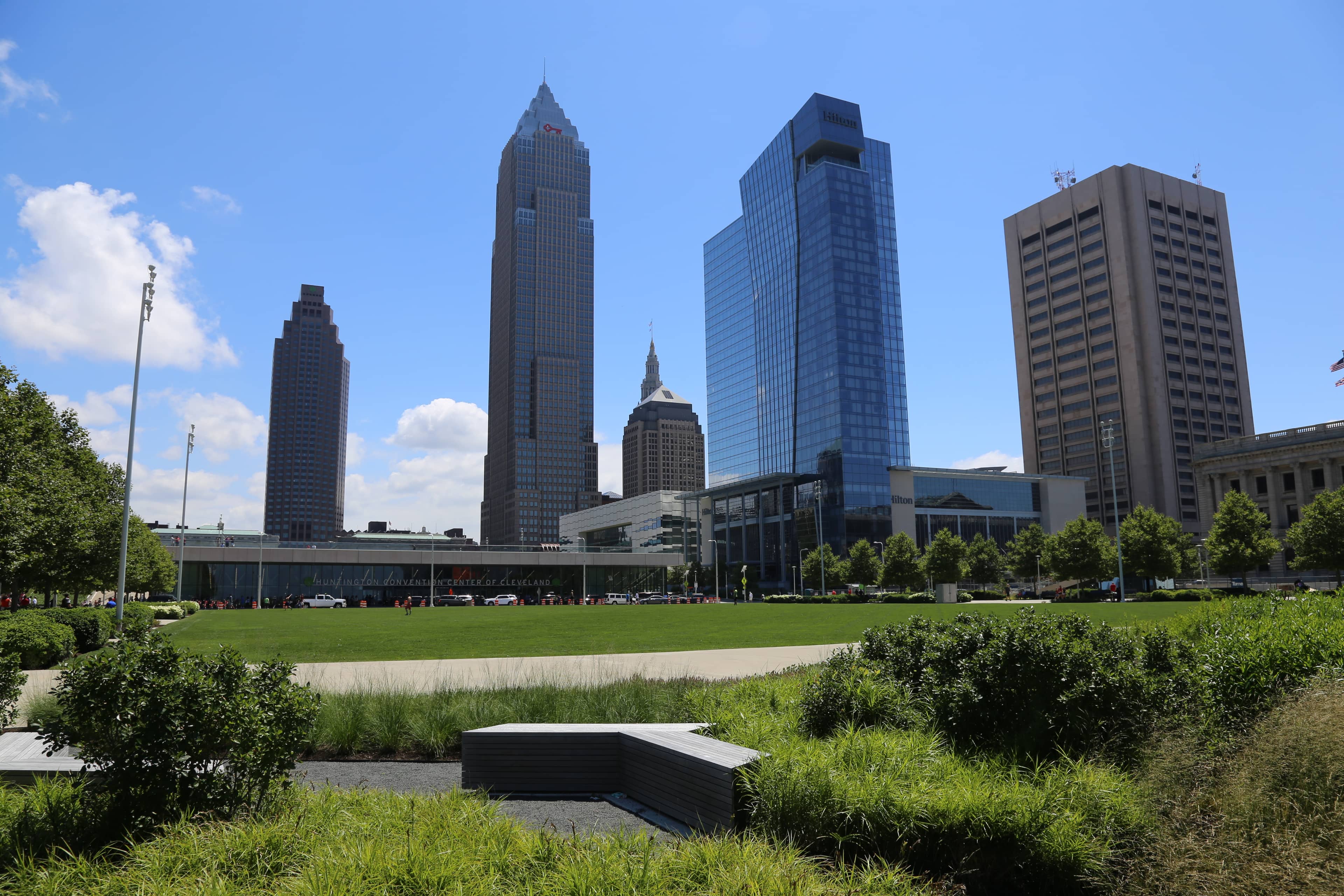 Downtown Skyline Views