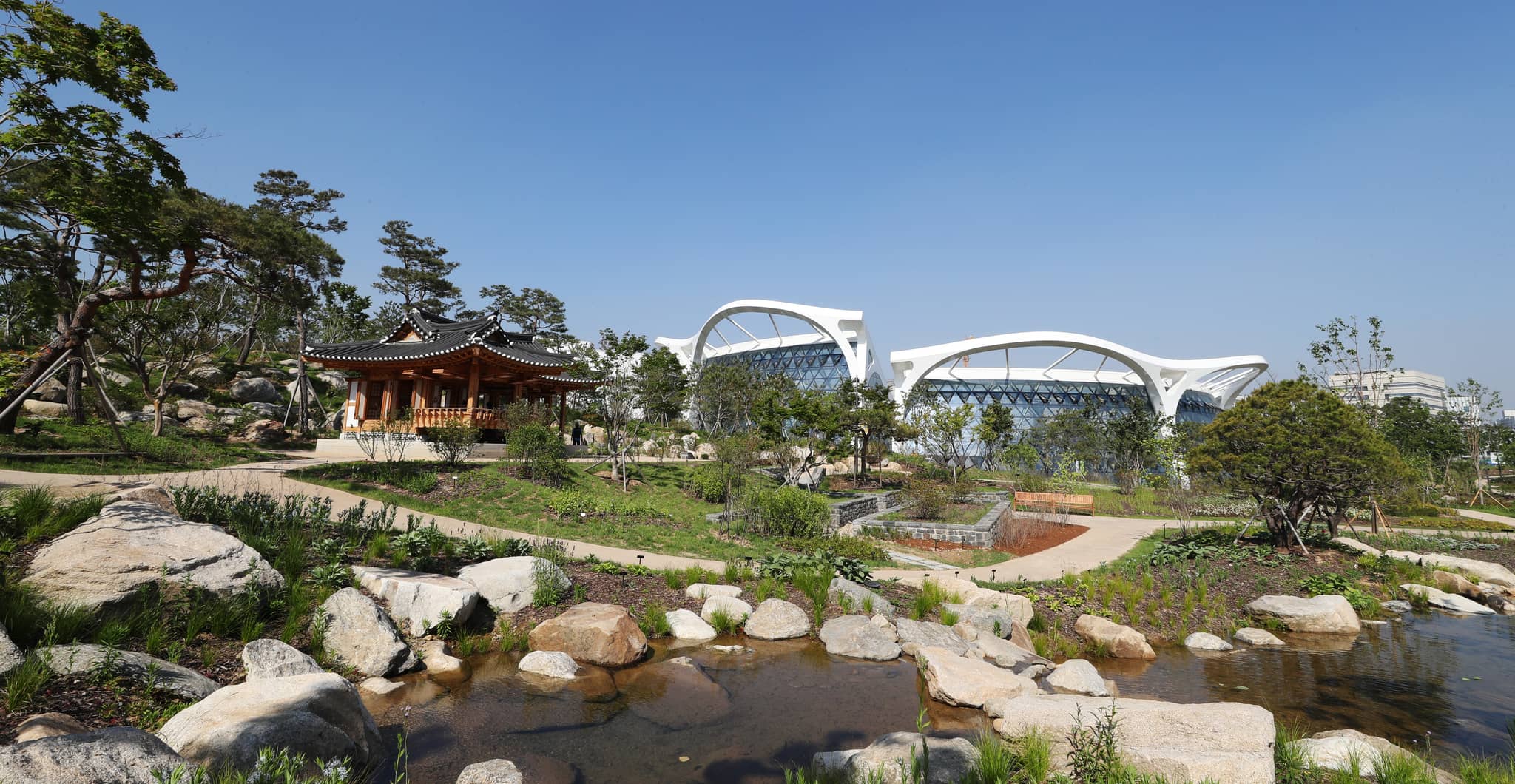 Wetlands Garden