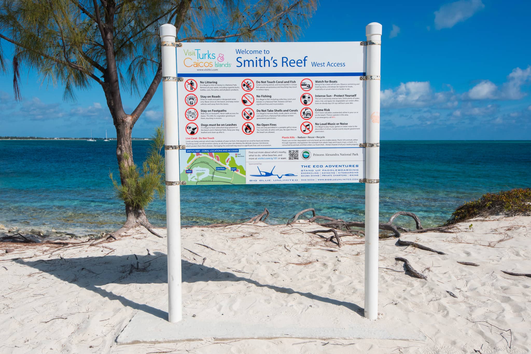 Beach Access & Sand Dollars