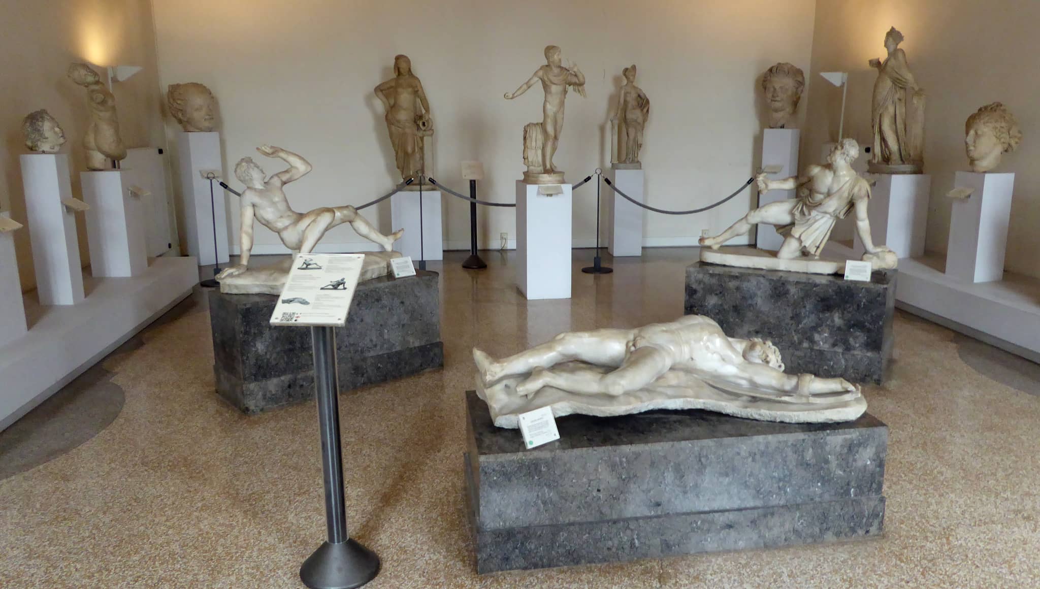 Well-Curated Exhibition