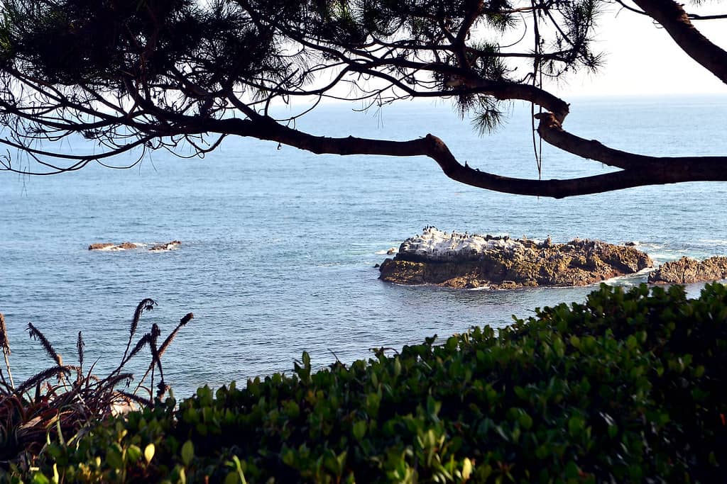 Heisler Park Views