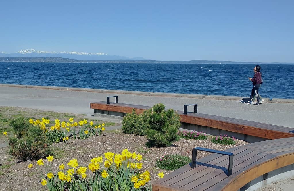 Waterfront Promenade