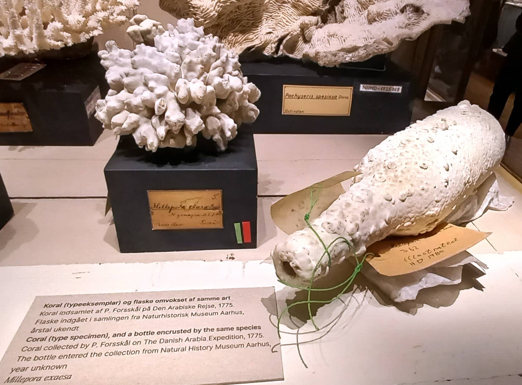 Expedition Collections