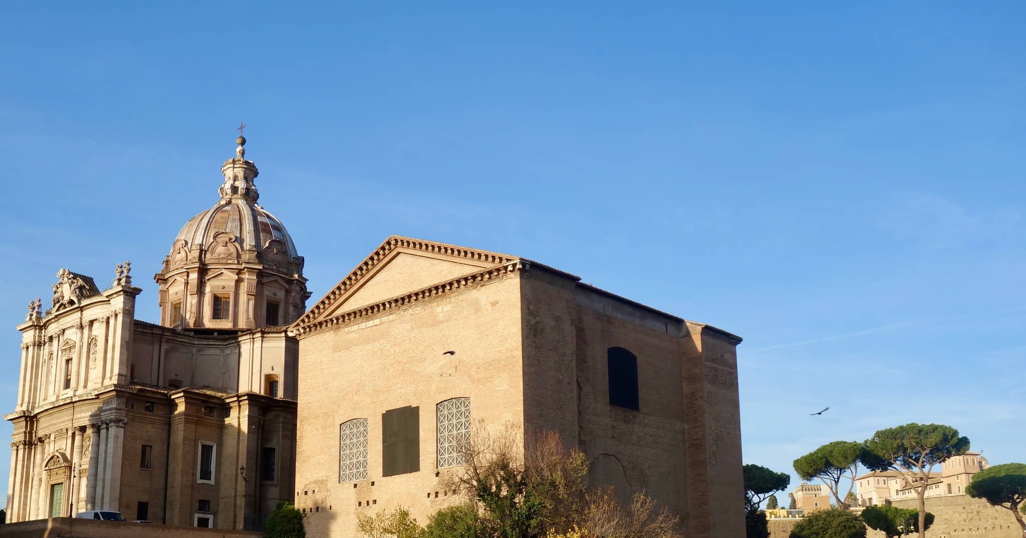 Curia Julia (Senate House)