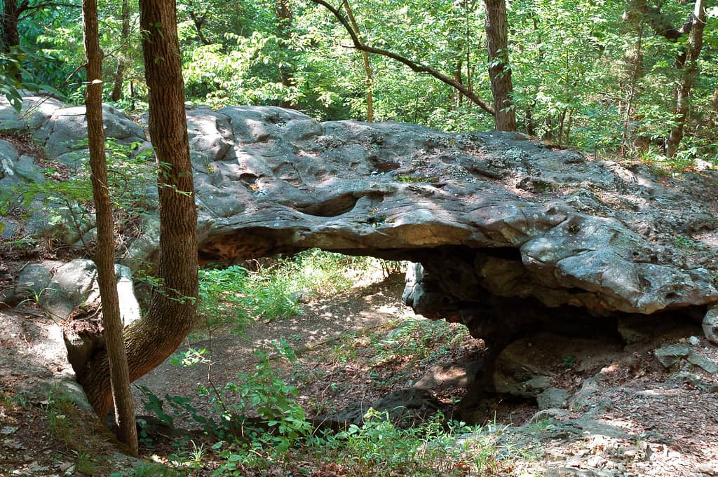 The Majestic Natural Bridge