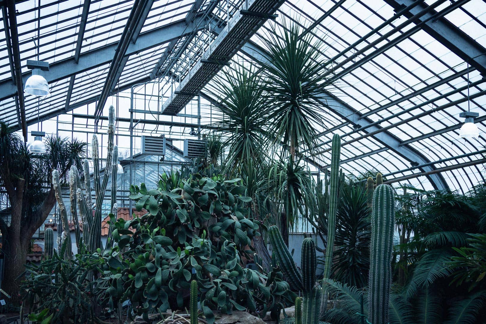 Lincoln Park Conservatory