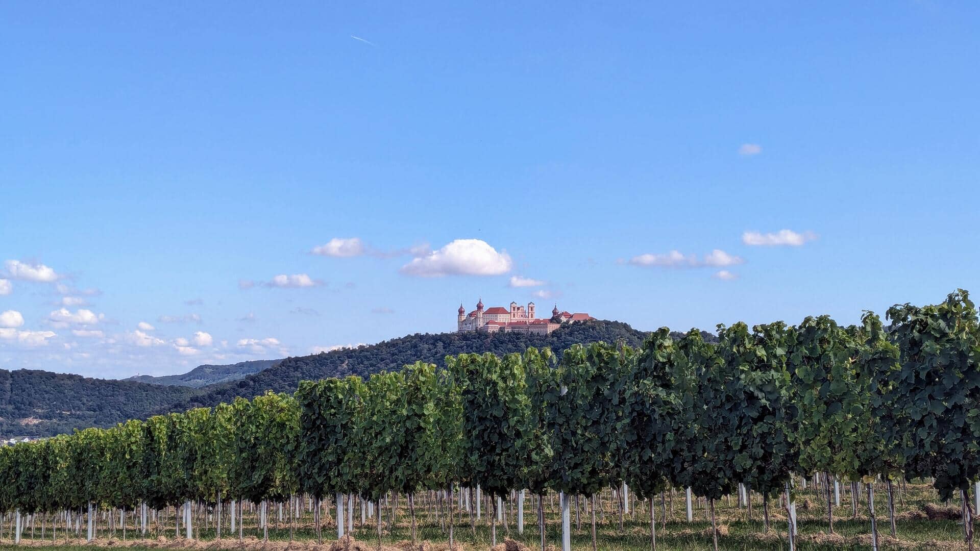 Harvest Session Experience