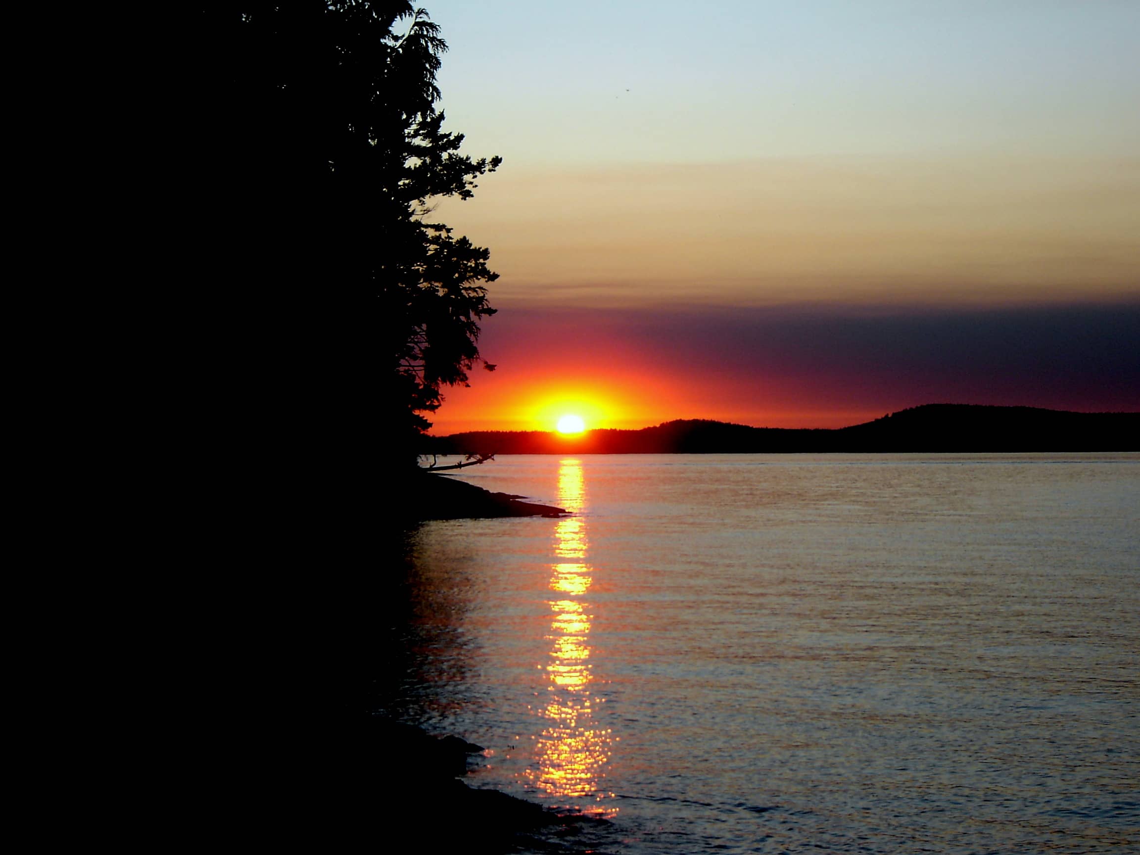 Washington Park Sunset