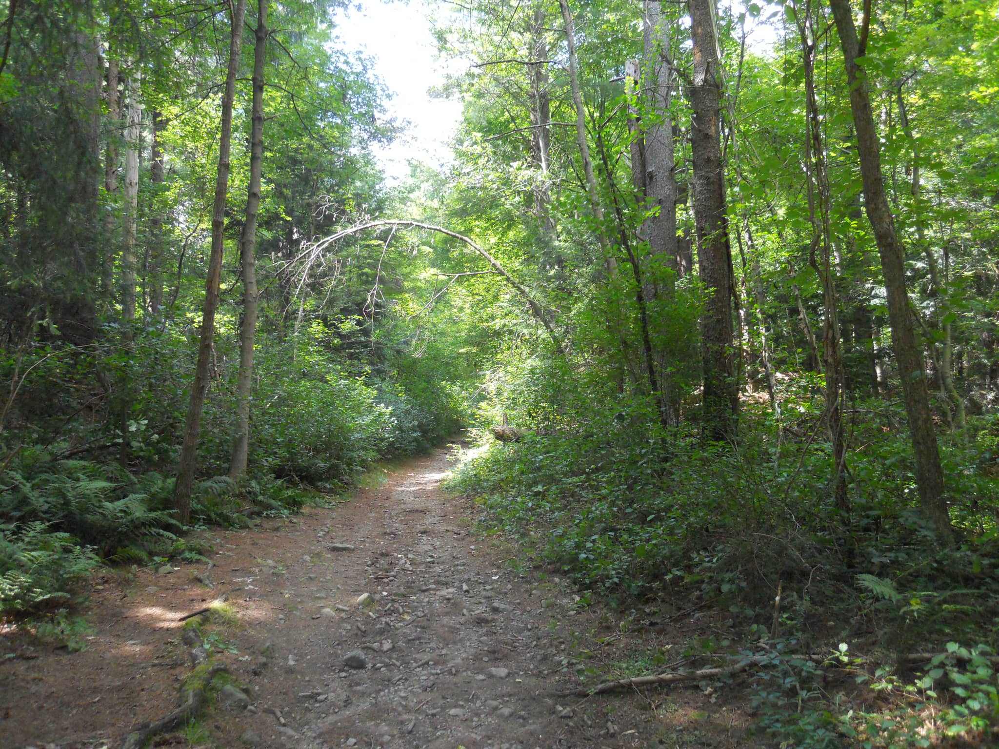 Steep Rocky Ascent